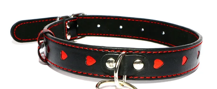 Queen of Hearts Leather Collar and Leash Touch of Fur Restraints